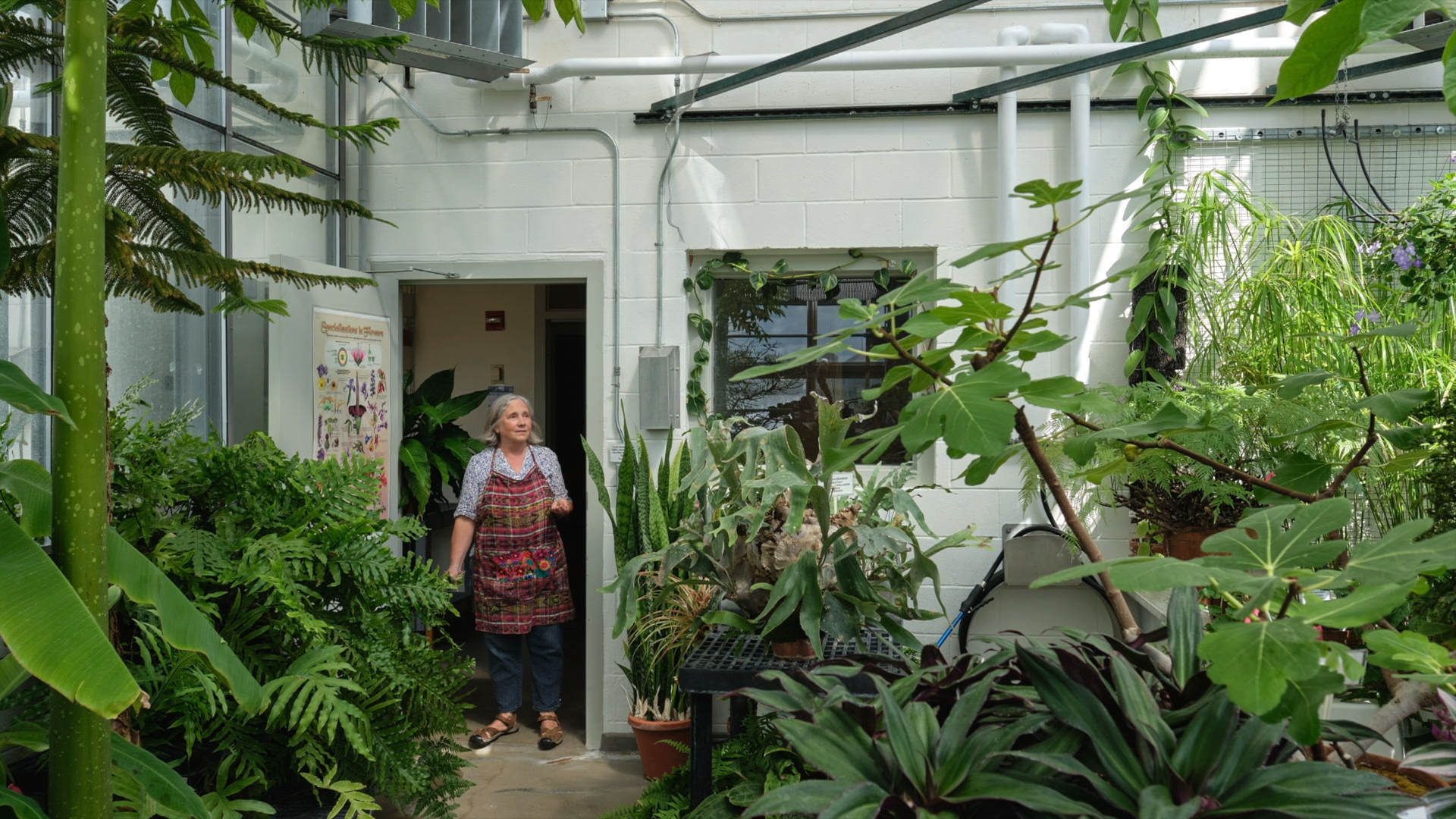 Greenhouse curator Patti Padua